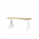 WORK DESK stôl, výškovo nastaviteľný, 160 cm, ash